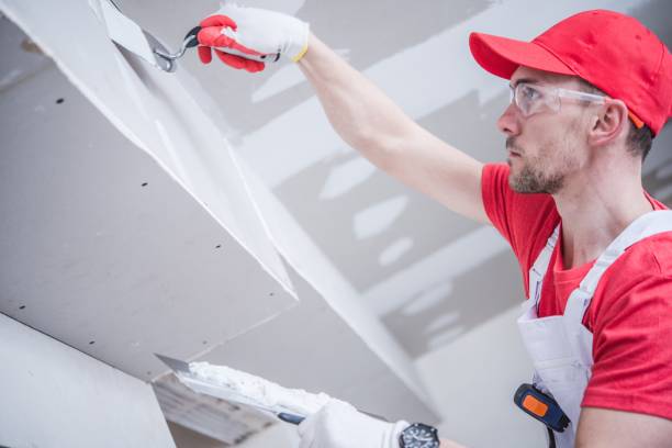 Best Drywall Removal and Disposal  in USA